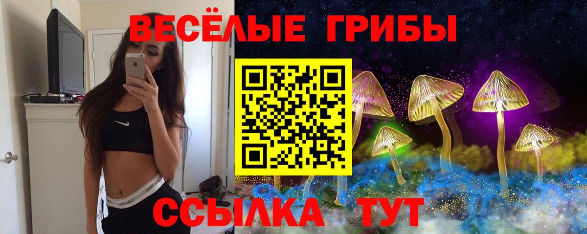 Псилоцибиновые грибы GOLDEN TEACHER  Галлюциногенные грибы мицелий  Звенигород  Вход с VPN 